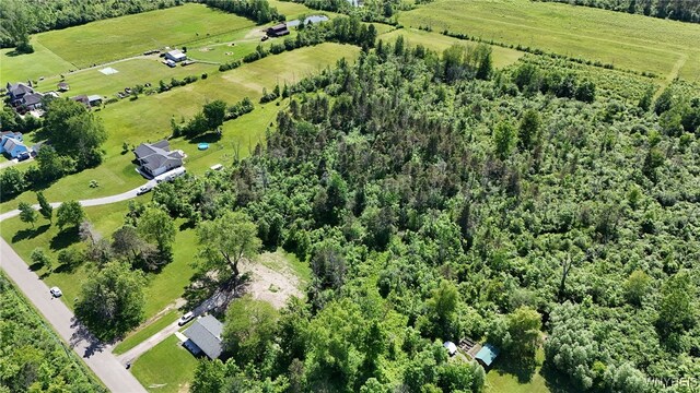 7714 Decker Rd, Evans, NY 14047 - photo 5