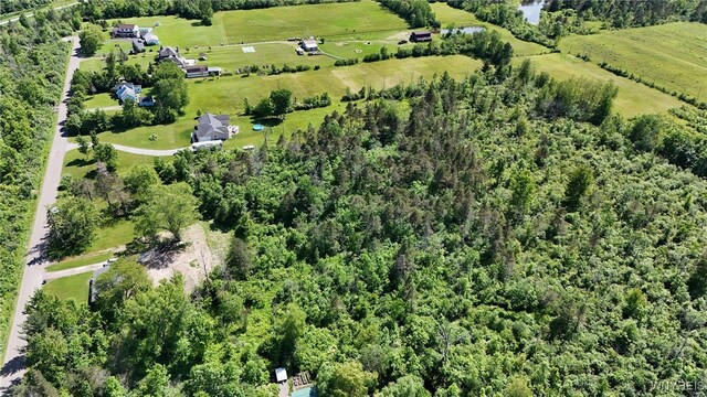 7714 Decker Rd, Evans, NY 14047 - photo 6
