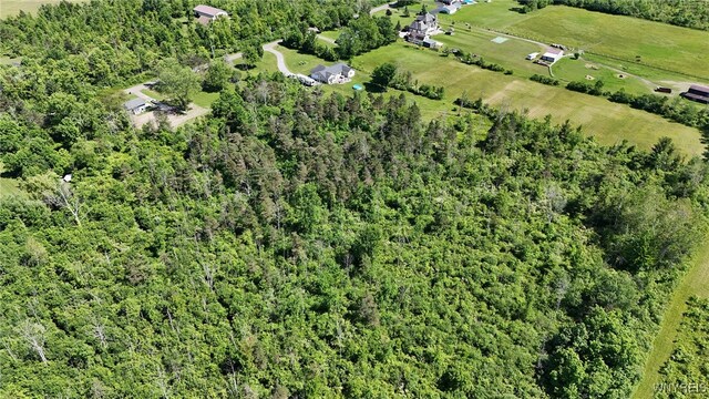 7714 Decker Rd, Evans, NY 14047 - photo 8