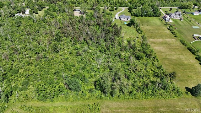 7714 Decker Rd, Evans, NY 14047 - photo 9