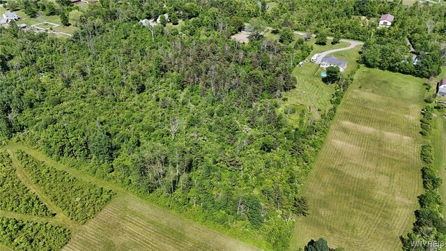 7714 Decker Rd, Evans, NY 14047 - photo 10
