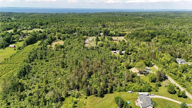 7714 Decker Rd, Evans, NY 14047 - photo 11