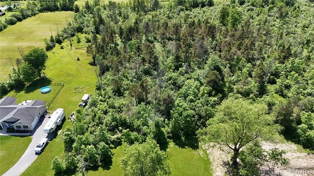 7714 Decker Rd, Evans, NY 14047 - photo 14