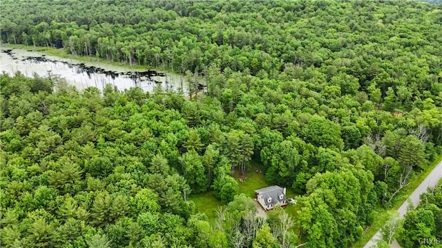 553 Lilley Hill Rd, Butternuts, NY 13849 - photo 37