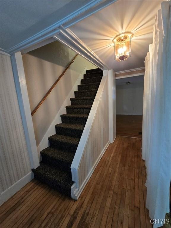 259 Flower Ave W, Watertown-City, NY 13601 - stairs featuring wood-type flooring