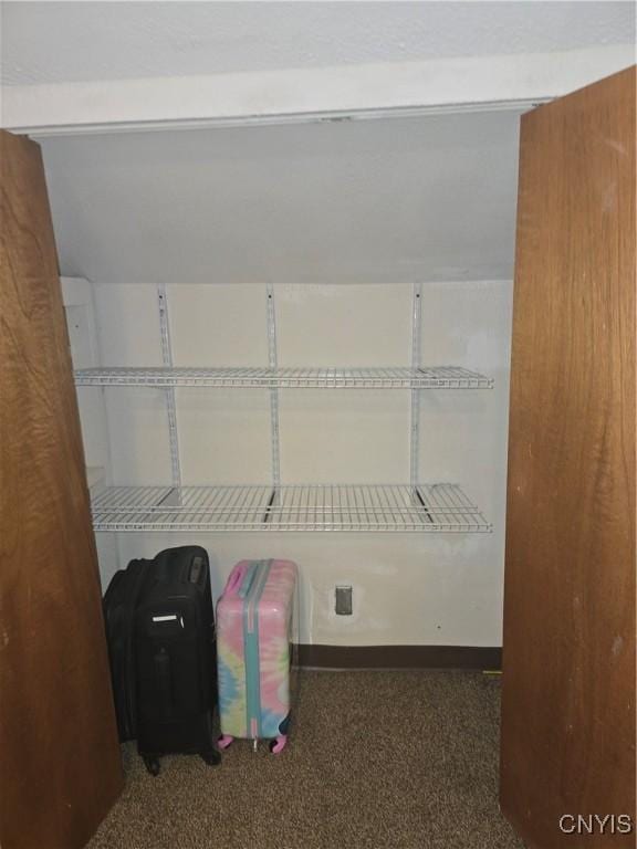 259 Flower Ave W, Watertown-City, NY 13601 - view of closet
