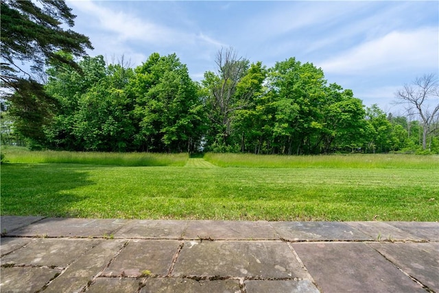 1516 Lake Rd, Webster, NY 14580