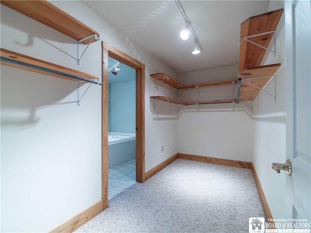 5 Summit Park Dr, Ellery, NY 14712 - walk in closet with carpet