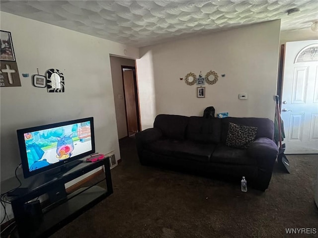 401 Ideal St, Buffalo, NY 14206 - living room with carpet