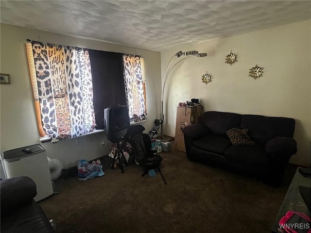 401 Ideal St, Buffalo, NY 14206 - carpeted living room with a textured ceiling