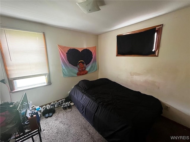 401 Ideal St, Buffalo, NY 14206 - bedroom with carpet flooring
