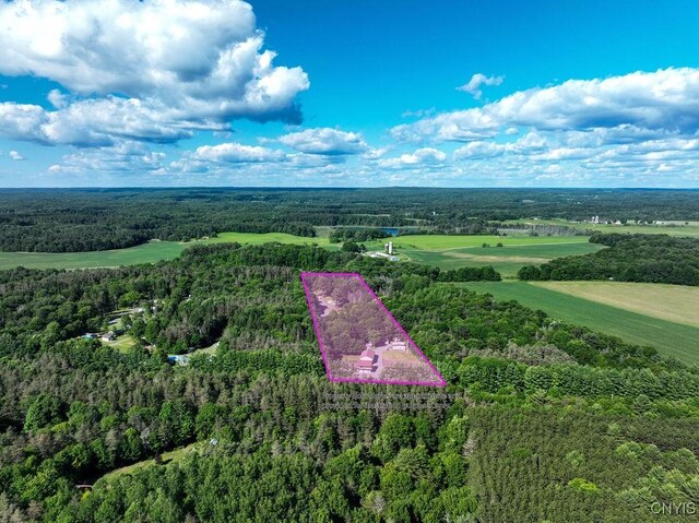 620 County Route 48, Albion, NY 13302 - photo 3