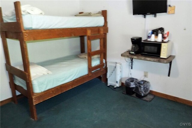 620 County Route 48, Albion, NY 13302 - photo 32