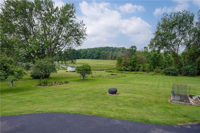 921 Wayneport Rd, Macedon, NY 14502 - view of grassy yard featuring a garden