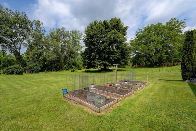 921 Wayneport Rd, Macedon, NY 14502 - view of green lawn with a vegetable garden