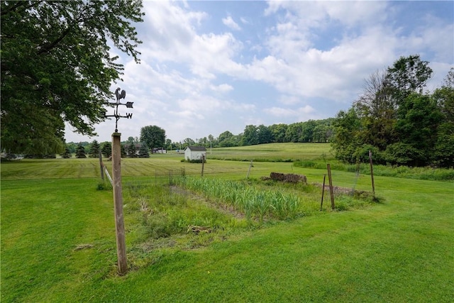921 Wayneport Rd, Macedon, NY 14502 - view of green lawn with a view of countryside
