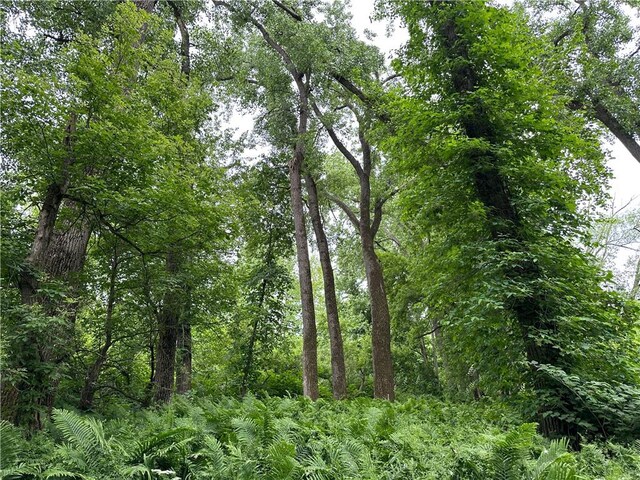 5764 Rees Rd, Granger, NY 14735 - photo 46