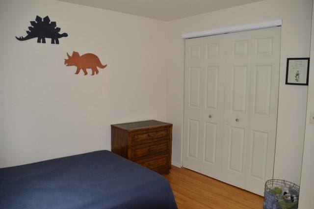 57 Timberline Dr, Penfield, NY 14526 - bedroom with light wood-style flooring and a closet