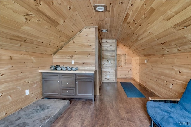 33039 County Route 22, Antwerp, NY 13691 - unfurnished room with wood walls, wood ceiling, vaulted ceiling, and dark wood-style flooring
