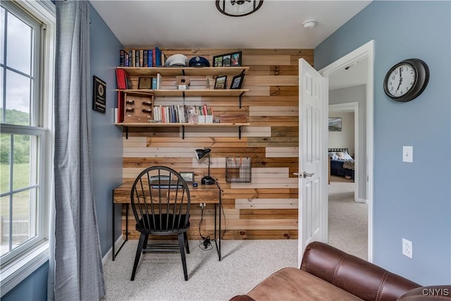 33039 County Route 22, Antwerp, NY 13691 - office featuring carpet floors and wood walls