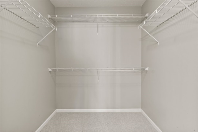 189 Maryview Dr, Penfield, NY 14580 - spacious closet with carpet