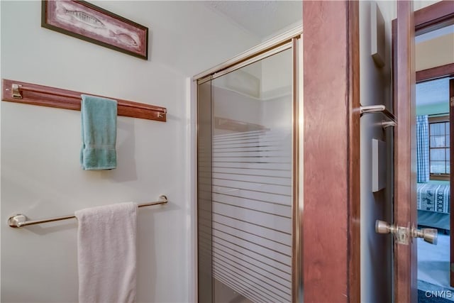 8782 Buck Point Rd, Watson, NY 13367 - bathroom with a shower with door
