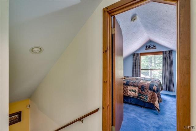 8782 Buck Point Rd, Watson, NY 13367 - bedroom with lofted ceiling, carpet floors, and a textured ceiling