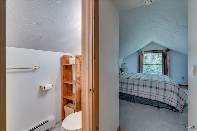 8782 Buck Point Rd, Watson, NY 13367 - bedroom with a baseboard heating unit and lofted ceiling