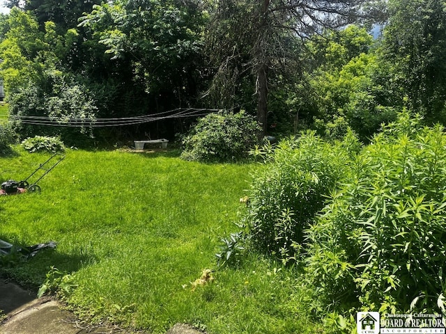 157 W Main St, Allegany, NY 14706 - view of yard