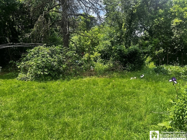 157 W Main St, Allegany, NY 14706 - view of undeveloped land