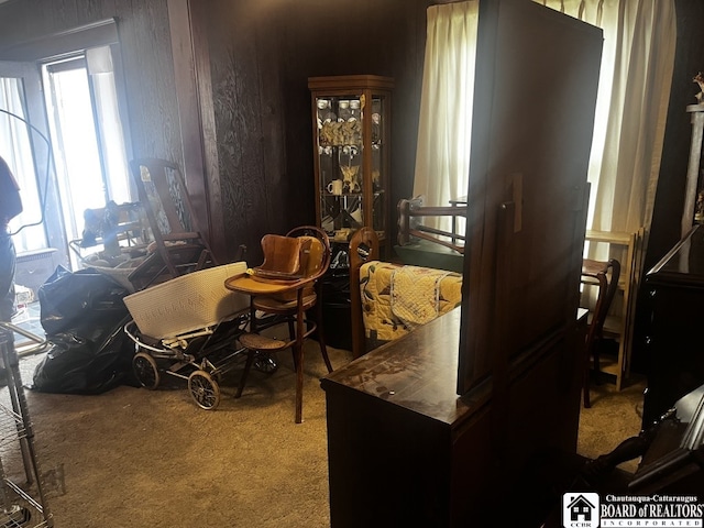 157 W Main St, Allegany, NY 14706 - dining area with carpet flooring