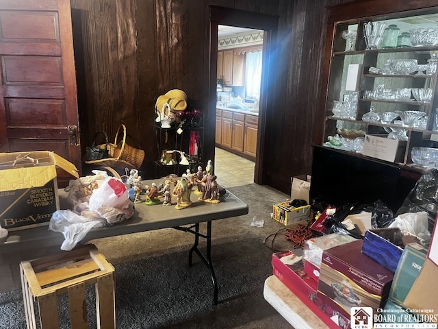 157 W Main St, Allegany, NY 14706 - misc room featuring light carpet and wood walls