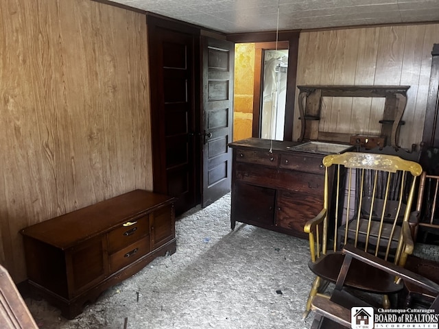 157 W Main St, Allegany, NY 14706 - carpeted bedroom featuring wood walls