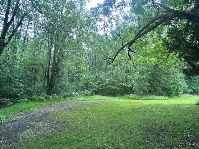 850 Campbell Blvd, Amherst, NY 14228 - photo 5