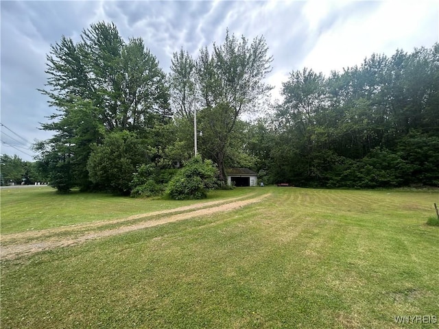 850 Campbell Blvd, Amherst, NY 14228 - photo 10