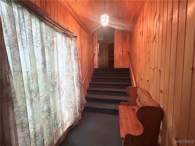 850 Campbell Blvd, Amherst, NY 14228 - photo 37