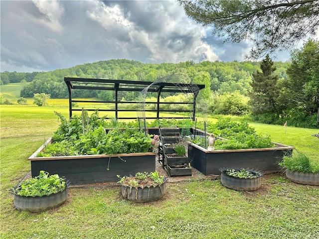 496 Burdick Medbury Rd, Norwich-Town, NY 13815 - view of green lawn featuring a garden and a forest view