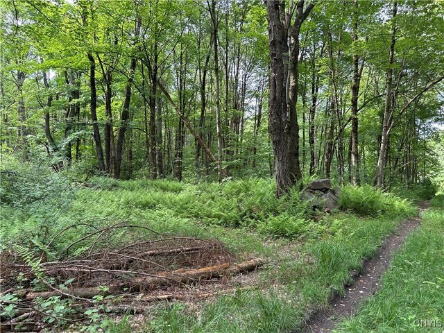 Bartley Rd, Williamstown, NY 13493 - photo 8