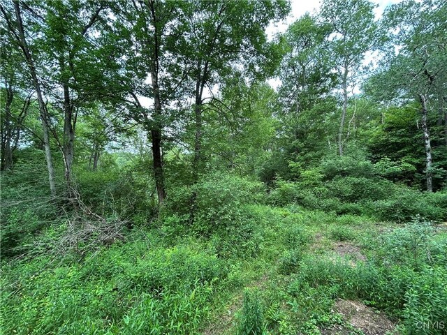 Bartley Rd, Williamstown, NY 13493 - photo 9