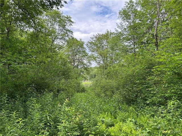 Bartley Rd, Williamstown, NY 13493 - photo 10
