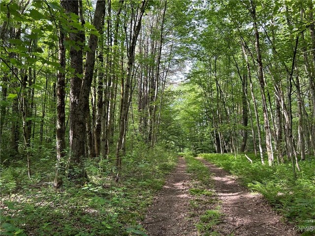 Bartley Rd, Williamstown, NY 13493 - photo 12