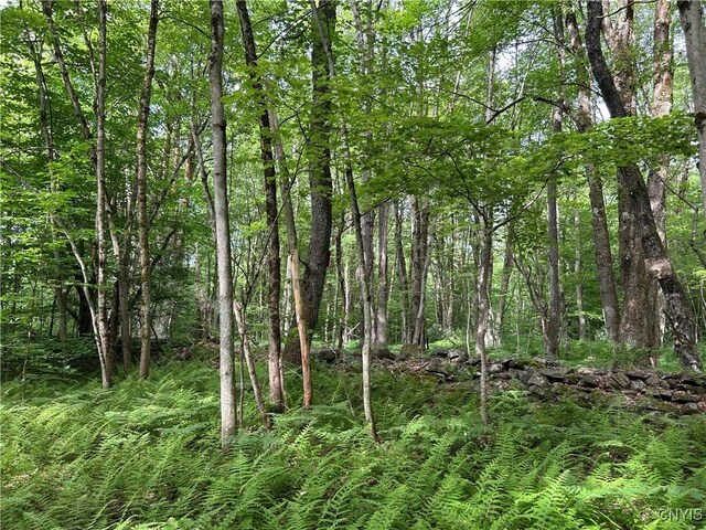 Bartley Rd, Williamstown, NY 13493 - photo 13