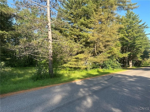 36130 Jackson Ii Rd, Champion, NY 13619