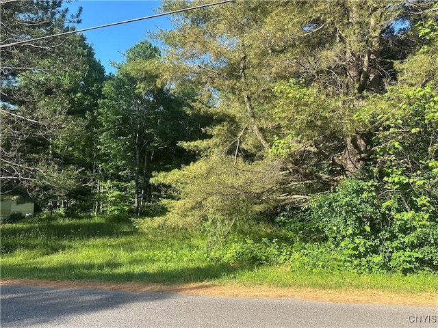 36130 Jackson Ii Rd, Champion, NY 13619