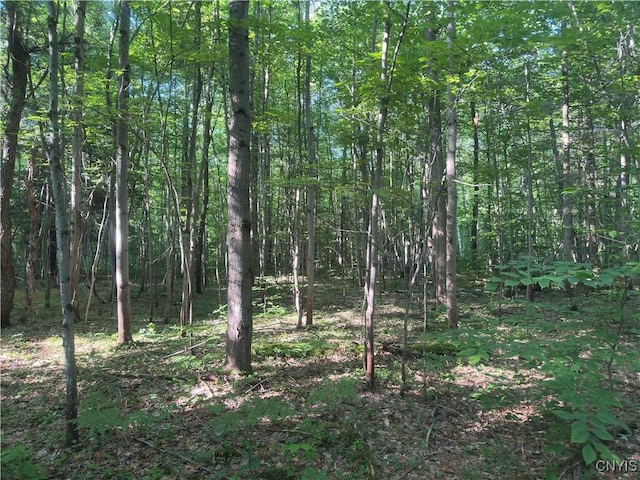 36130 Jackson Ii Rd, Champion, NY 13619