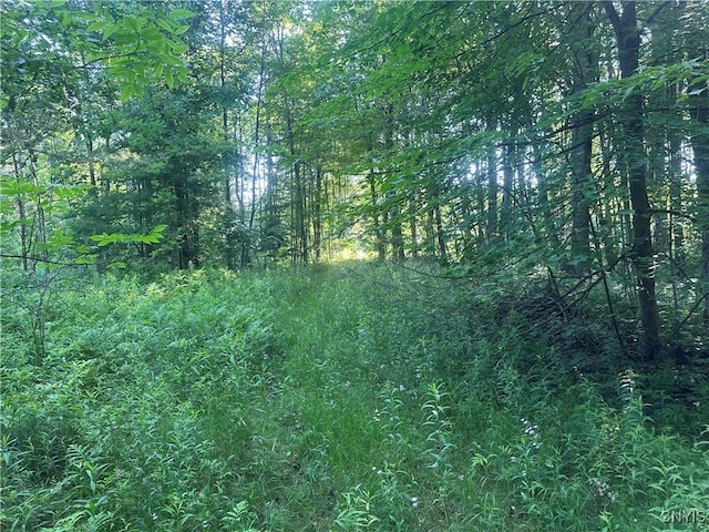 36130 Jackson Ii Rd, Champion, NY 13619