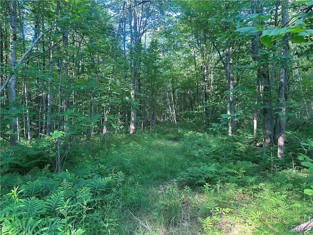36130 Jackson Ii Rd, Champion, NY 13619
