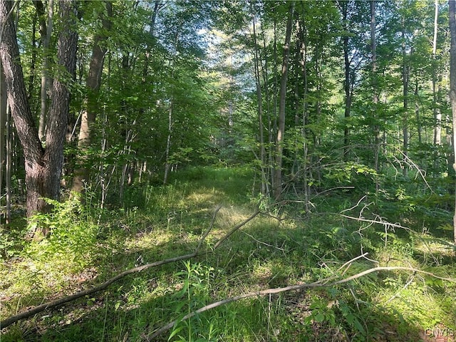 36130 Jackson Ii Rd, Champion, NY 13619