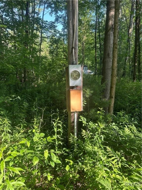 36130 Jackson Ii Rd, Champion, NY 13619