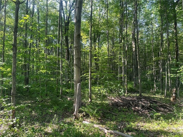 36130 Jackson Ii Rd, Champion, NY 13619